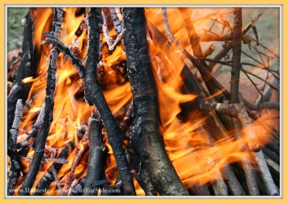 Here are tips on how to protect your Candlewood Lake home from wildfire.